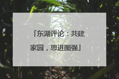 东湖评论：共建家园，思进图强