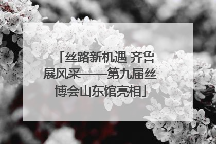 丝路新机遇 齐鲁展风采——第九届丝博会山东馆亮相