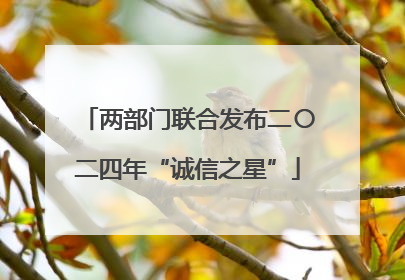 两部门联合发布二〇二四年“诚信之星”
