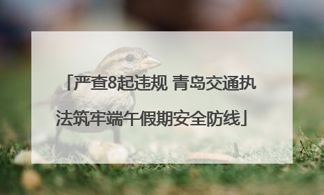 严查8起违规 青岛交通执法筑牢端午假期安全防线