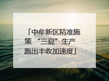 中牟新区精准施策 “三夏”生产跑出丰收加速度