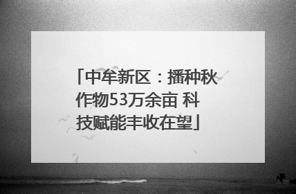 中牟新区：播种秋作物53万余亩 科技赋能丰收在望