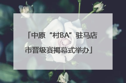 中原“村BA”驻马店市晋级赛揭幕式举办