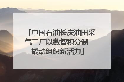 中国石油长庆油田采气二厂以数智积分制 撬动组织新活力