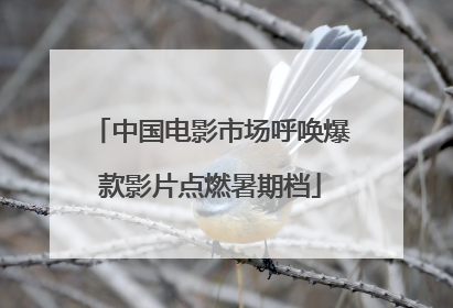 中国电影市场呼唤爆款影片点燃暑期档