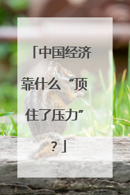 中国经济靠什么“顶住了压力”？