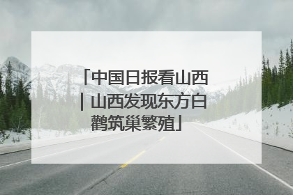 中国日报看山西｜山西发现东方白鹳筑巢繁殖