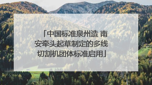 中国标准泉州造 南安牵头起草制定的多线切割机团体标准启用