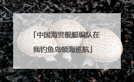 中国海警舰艇编队在我钓鱼岛领海巡航
