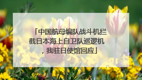 中国航母编队战斗机拦截日本海上自卫队巡逻机，我驻日使馆回应