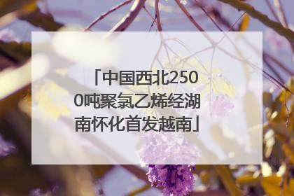 中国西北2500吨聚氯乙烯经湖南怀化首发越南