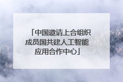 中国邀请上合组织成员国共建人工智能应用合作中心