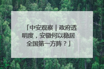 中安观察｜政府透明度，安徽何以稳居全国第一方阵？