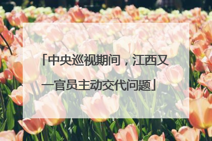 中央巡视期间，江西又一官员主动交代问题