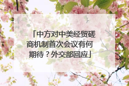 中方对中美经贸磋商机制首次会议有何期待？外交部回应