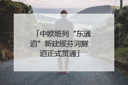 中欧班列“东通道”新建绥芬河隧道正式贯通