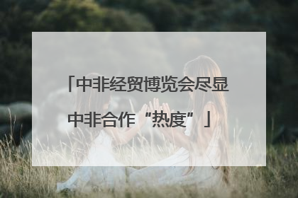 中非经贸博览会尽显中非合作“热度”