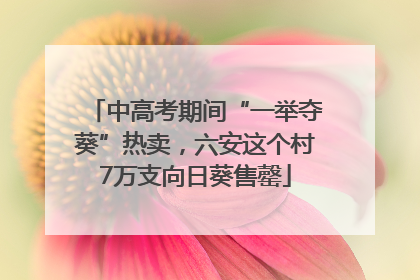 中高考期间“一举夺葵”热卖，六安这个村7万支向日葵售罄