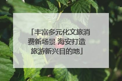 丰富多元化文旅消费新场景 海安打造旅游新兴目的地