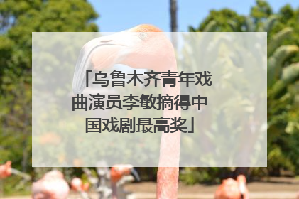 乌鲁木齐青年戏曲演员李敏摘得中国戏剧最高奖