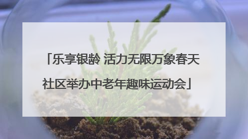 乐享银龄 活力无限万象春天社区举办中老年趣味运动会