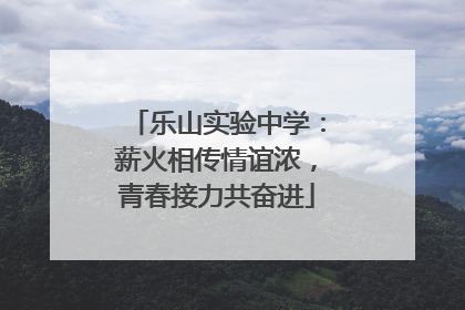 乐山实验中学：薪火相传情谊浓，青春接力共奋进