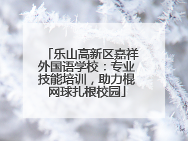乐山高新区嘉祥外国语学校：专业技能培训，助力棍网球扎根校园