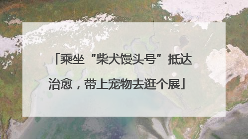 乘坐“柴犬馒头号”抵达治愈，带上宠物去逛个展