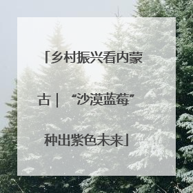 乡村振兴看内蒙古｜“沙漠蓝莓”种出紫色未来