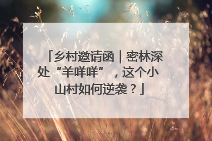 乡村邀请函｜密林深处“羊咩咩”，这个小山村如何逆袭？