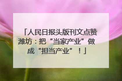 人民日报头版刊文点赞潍坊：把“当家产业”做成“担当产业”！