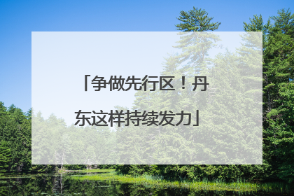 争做先行区！丹东这样持续发力