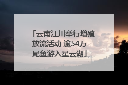 云南江川举行增殖放流活动 逾54万尾鱼游入星云湖