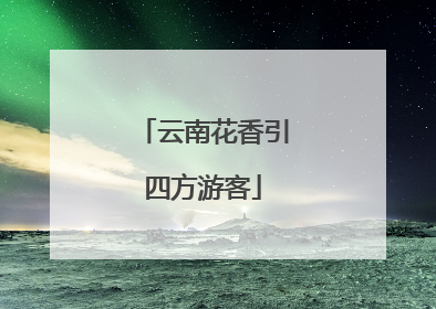 云南花香引四方游客