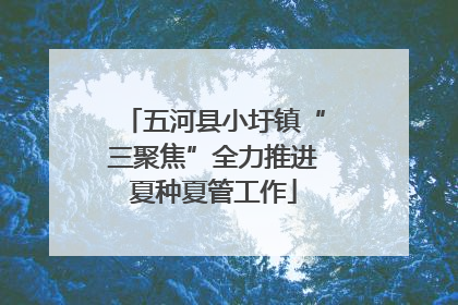 五河县小圩镇“三聚焦”全力推进夏种夏管工作