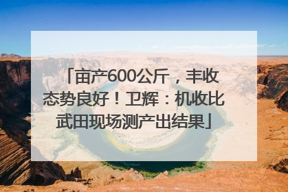 亩产600公斤，丰收态势良好！卫辉：机收比武田现场测产出结果