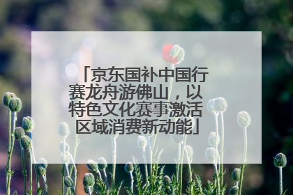 京东国补中国行赛龙舟游佛山，以特色文化赛事激活区域消费新动能