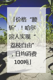价格“腰斩”！哈尔滨人实现“荔枝自由”，日均消费100吨