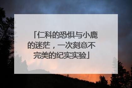 仁科的恐惧与小鹿的迷茫，一次刻意不完美的纪实实验