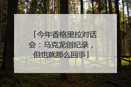 今年香格里拉对话会：马克龙创纪录，但也就那么回事