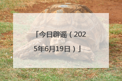今日辟谣（2025年6月19日）