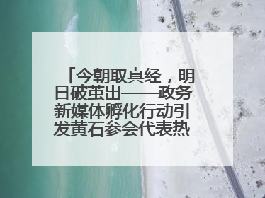 今朝取真经，明日破茧出——政务新媒体孵化行动引发黄石参会代表热烈反响