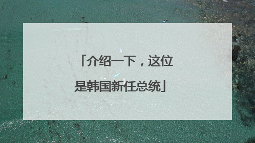 介绍一下，这位是韩国新任总统