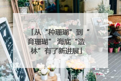 从“种珊瑚”到“育珊瑚” 海底“造林”有了新进展