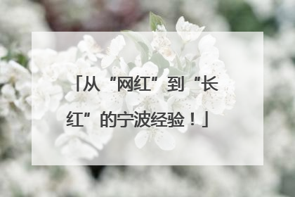 从“网红”到“长红”的宁波经验！