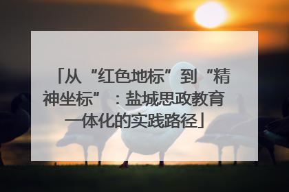从“红色地标”到“精神坐标”：盐城思政教育一体化的实践路径