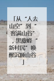 从“人去山空”到“客满山谷”，黑麋峰“新村民”唤醒沉睡山谷