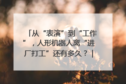 从“表演”到“工作”，人形机器人离“进厂打工”还有多久？｜机器人商业新纪元