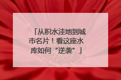 从积水洼地到城市名片！看这座水库如何“逆袭”