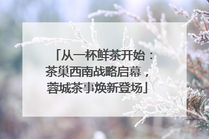 从一杯鲜茶开始：茶巢西南战略启幕，蓉城茶事焕新登场